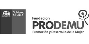 PRODEMU